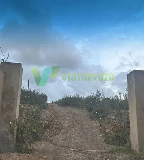 Terreno Agricola ou Rústico para Venda em São Marcos da Serra