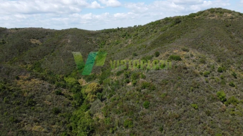 Terreno Agricola ou Rústico para Venda em São Marcos da Serra