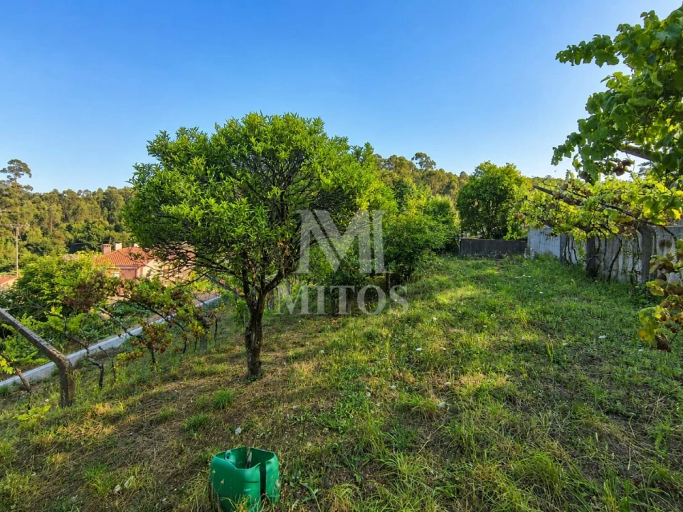 Terreno para Venda em Subportela, Deocriste e Portela Susã Foto 3
