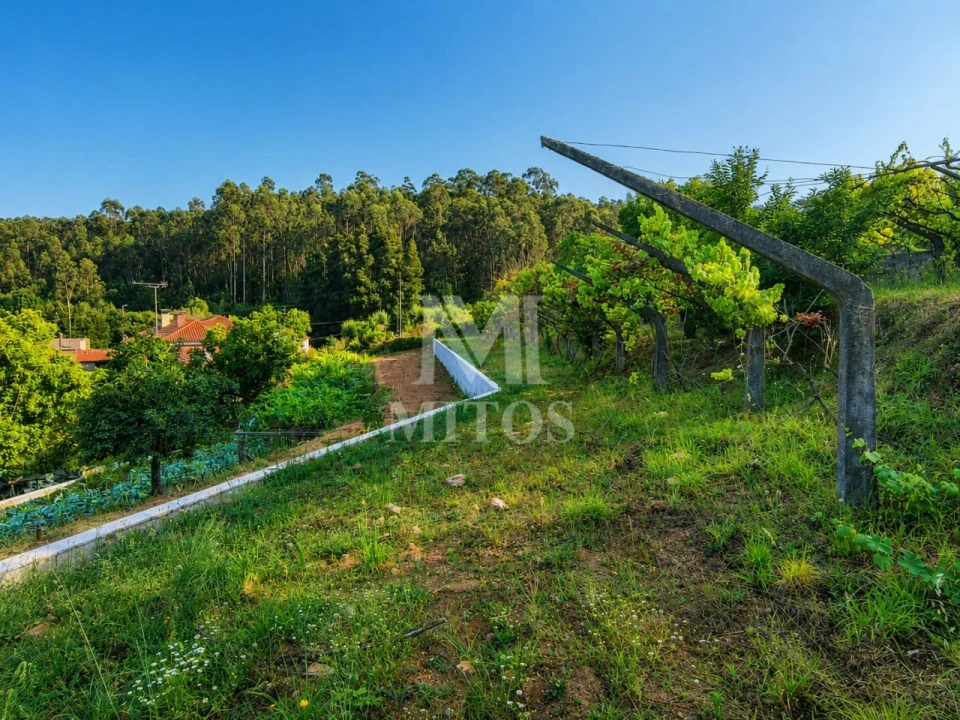Terreno para Venda em Subportela, Deocriste e Portela Susã Foto 5