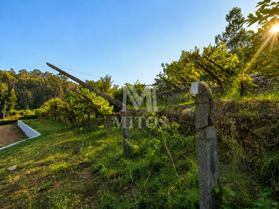 Terreno para Venda em Subportela, Deocriste e Portela Susã Foto 6