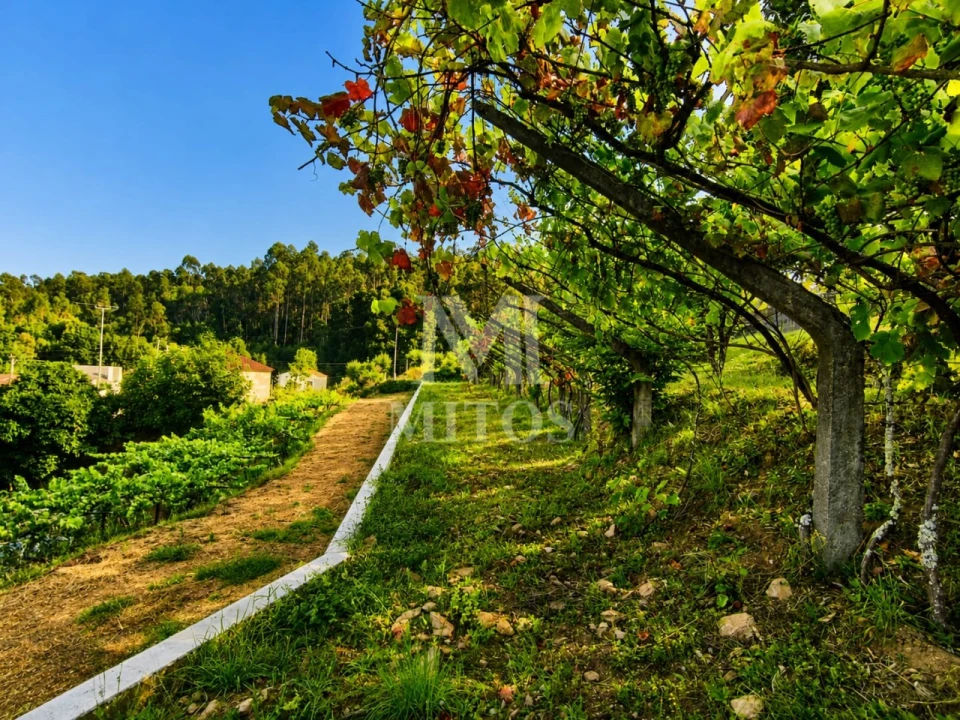 Terreno para Venda em Subportela, Deocriste e Portela Susã Foto 7