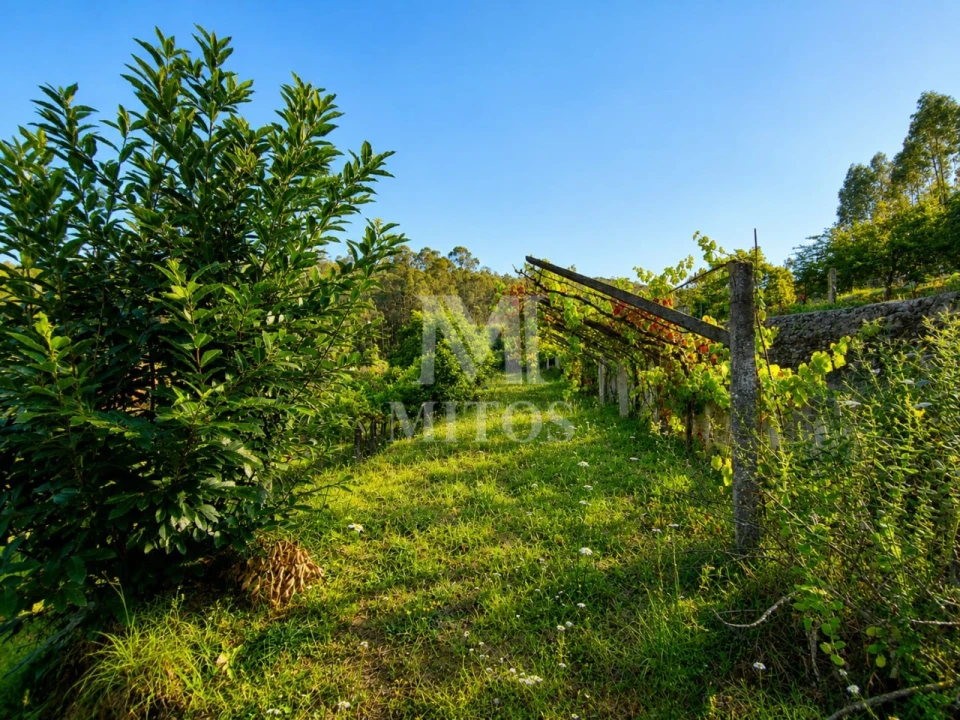 Terreno para Venda em Subportela, Deocriste e Portela Susã Foto 8