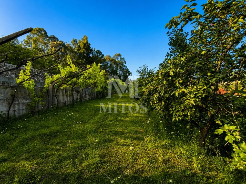 Terreno para Venda em Subportela, Deocriste e Portela Susã Foto 9