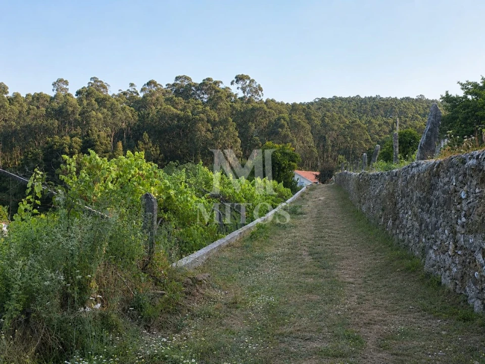 Terreno para Venda em Subportela, Deocriste e Portela Susã Foto 14