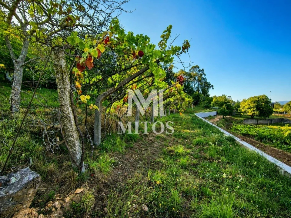 Terreno para Venda em Subportela, Deocriste e Portela Susã Foto 12