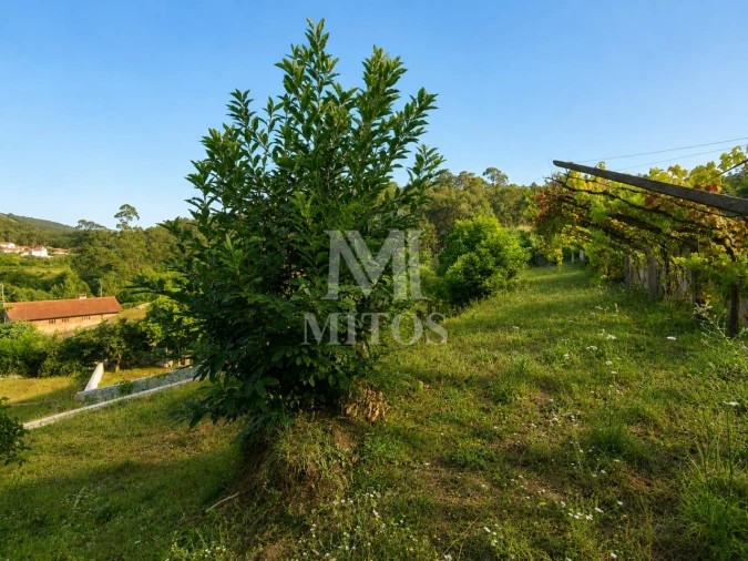 Terreno para Venda em Subportela, Deocriste e Portela Susã Foto 4