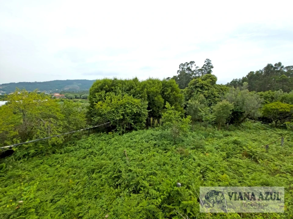 Quinta T5 para Venda em Barroselas e Carvoeiro Foto 35