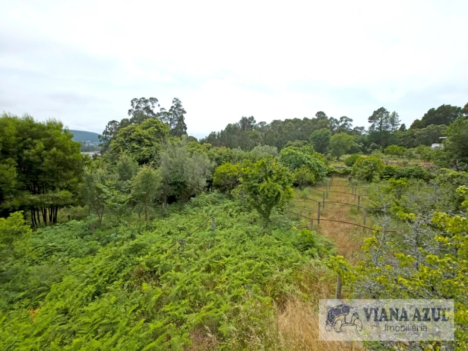 Quinta T5 para Venda em Barroselas e Carvoeiro Foto 37