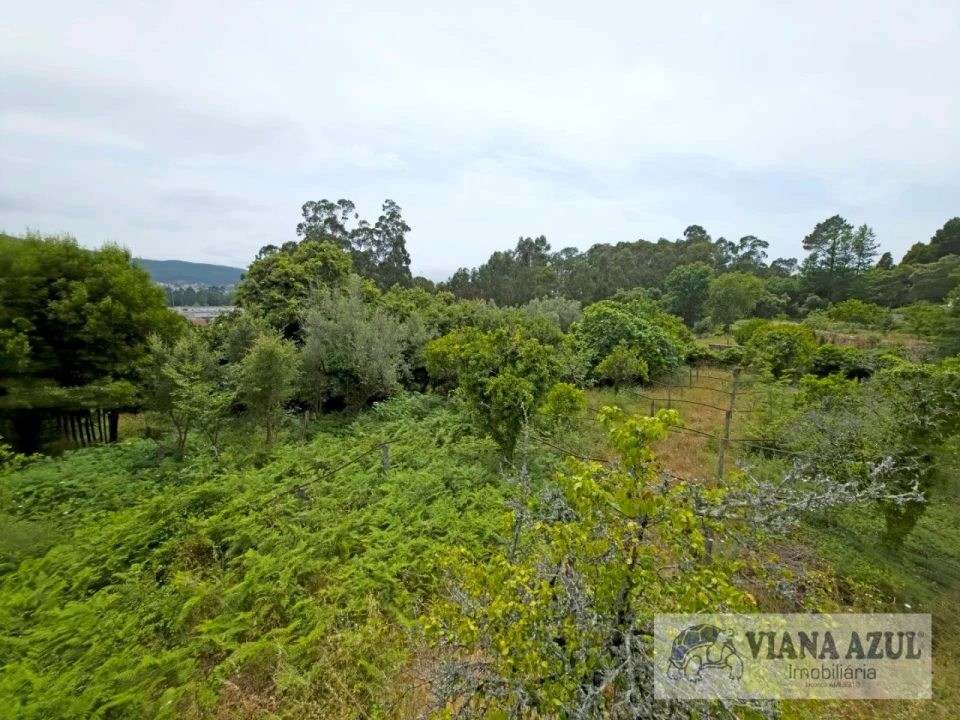 Quinta T5 para Venda em Barroselas e Carvoeiro Foto 39