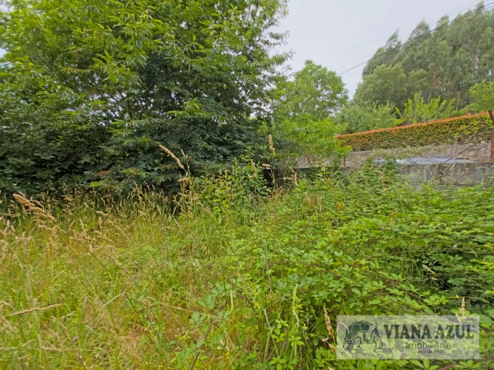 Quinta T5 para Venda em Barroselas e Carvoeiro Foto 47