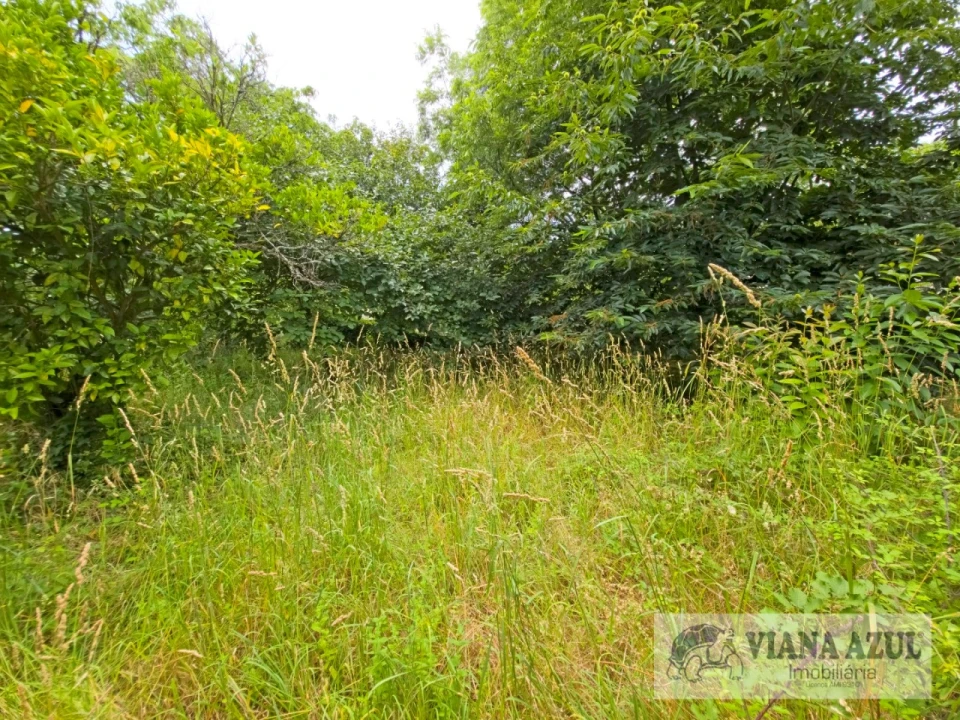 Quinta T5 para Venda em Barroselas e Carvoeiro Foto 48
