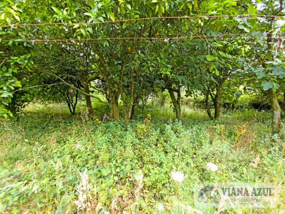 Quinta T5 para Venda em Barroselas e Carvoeiro Foto 52