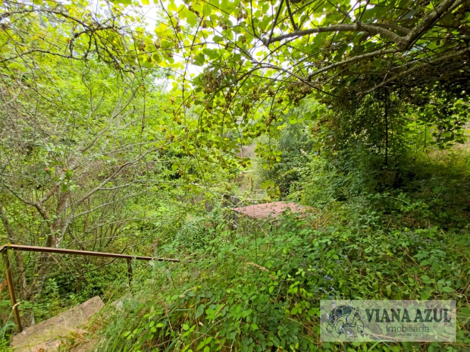 Quinta T5 para Venda em Barroselas e Carvoeiro Foto 53
