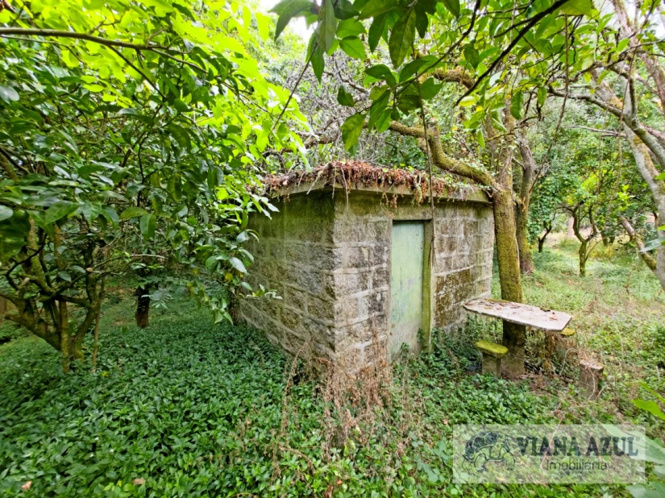 Quinta T5 para Venda em Barroselas e Carvoeiro Foto 55