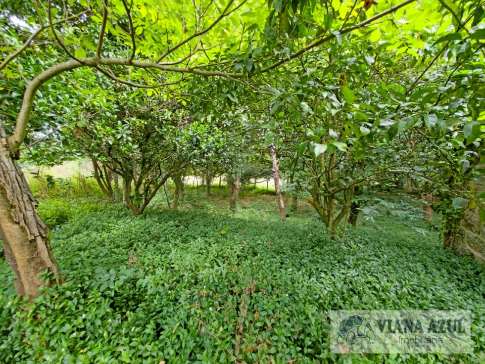 Quinta T5 para Venda em Barroselas e Carvoeiro Foto 56