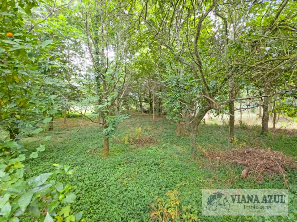 Quinta T5 para Venda em Barroselas e Carvoeiro Foto 57