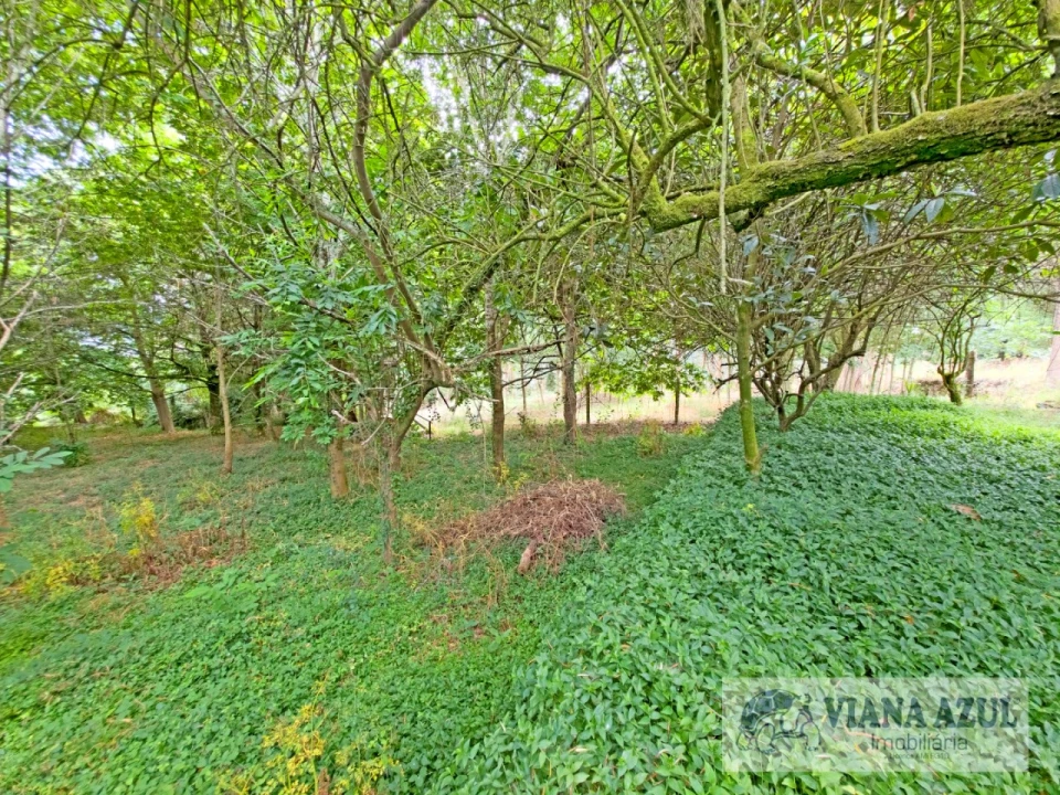 Quinta T5 para Venda em Barroselas e Carvoeiro Foto 58