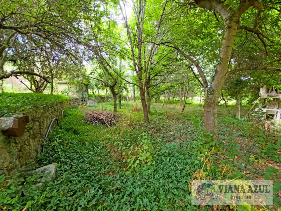 Quinta T5 para Venda em Barroselas e Carvoeiro Foto 60