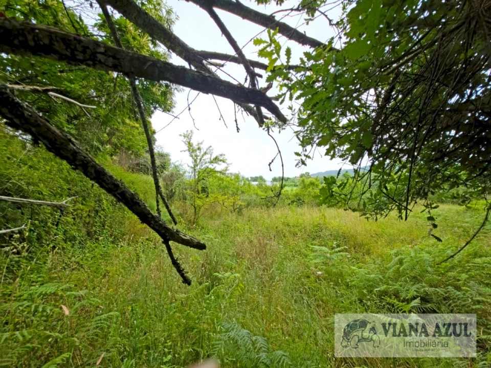 Quinta T5 para Venda em Barroselas e Carvoeiro Foto 62