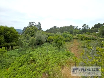 Quinta T5 para Venda em Barroselas e Carvoeiro