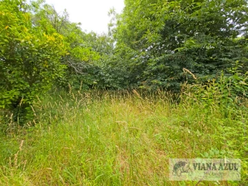 Quinta T5 para Venda em Barroselas e Carvoeiro