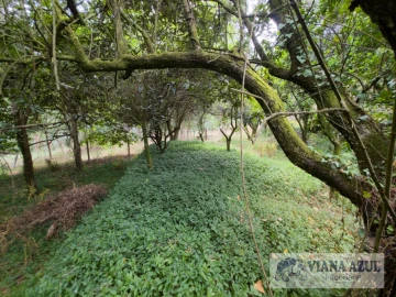 Quinta T5 para Venda em Barroselas e Carvoeiro