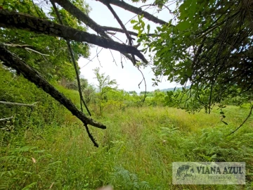 Quinta T5 para Venda em Barroselas e Carvoeiro