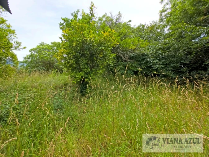 Quinta T5 para Venda em Barroselas e Carvoeiro Foto 49