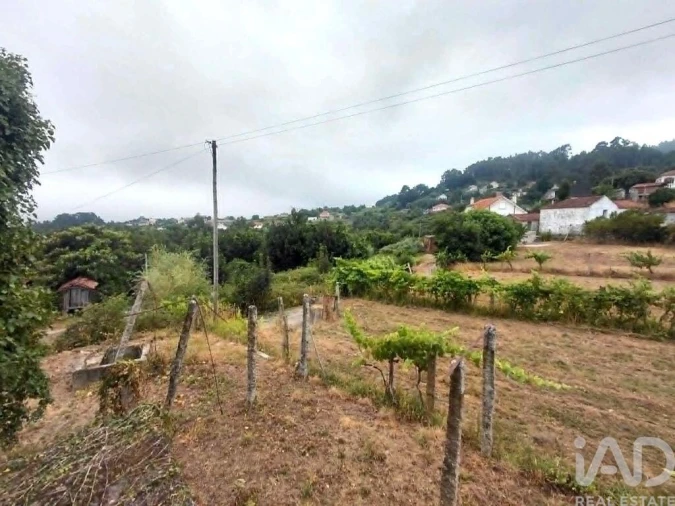 Moradia T3 para Venda em São Paio Foto 17