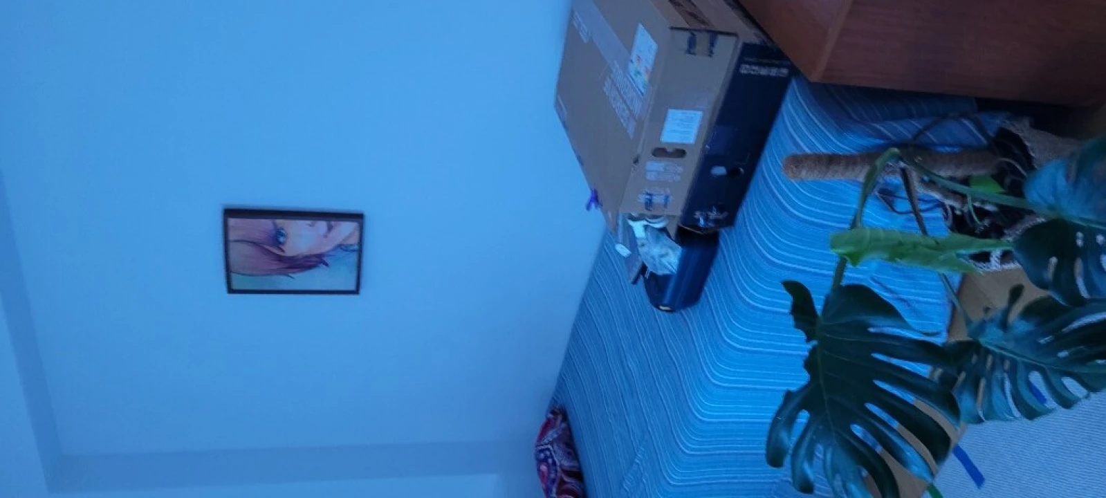 Apartamento T2 para Venda em Oeiras e São Julião da Barra, Paço de Arcos e Caxias Foto 22