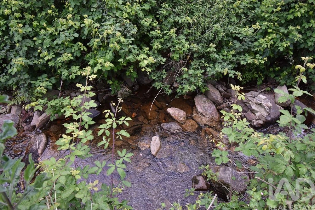 Armazém para Venda em Miranda do Corvo Foto 24