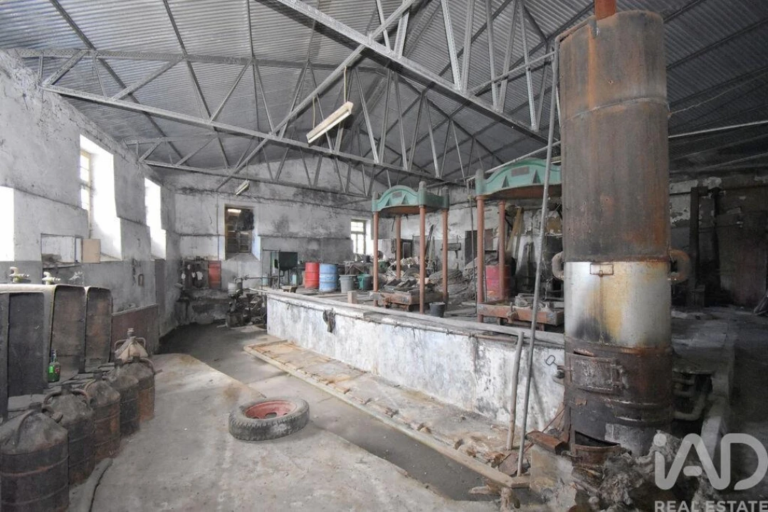 Armazém para Venda em Miranda do Corvo Foto 21