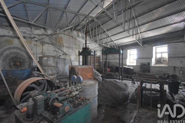 Armazém para Venda em Miranda do Corvo Foto 20