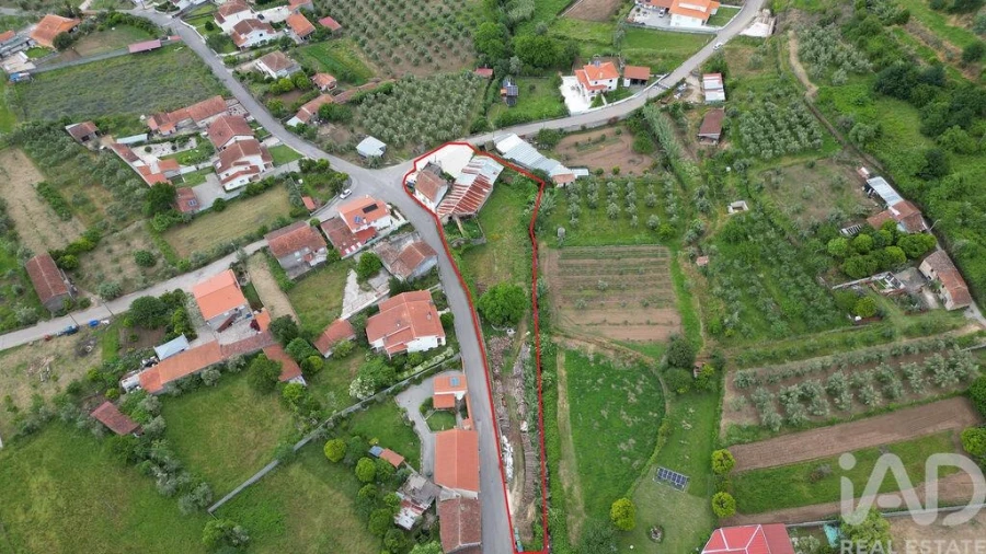 Armazém para Venda em Miranda do Corvo Foto 26
