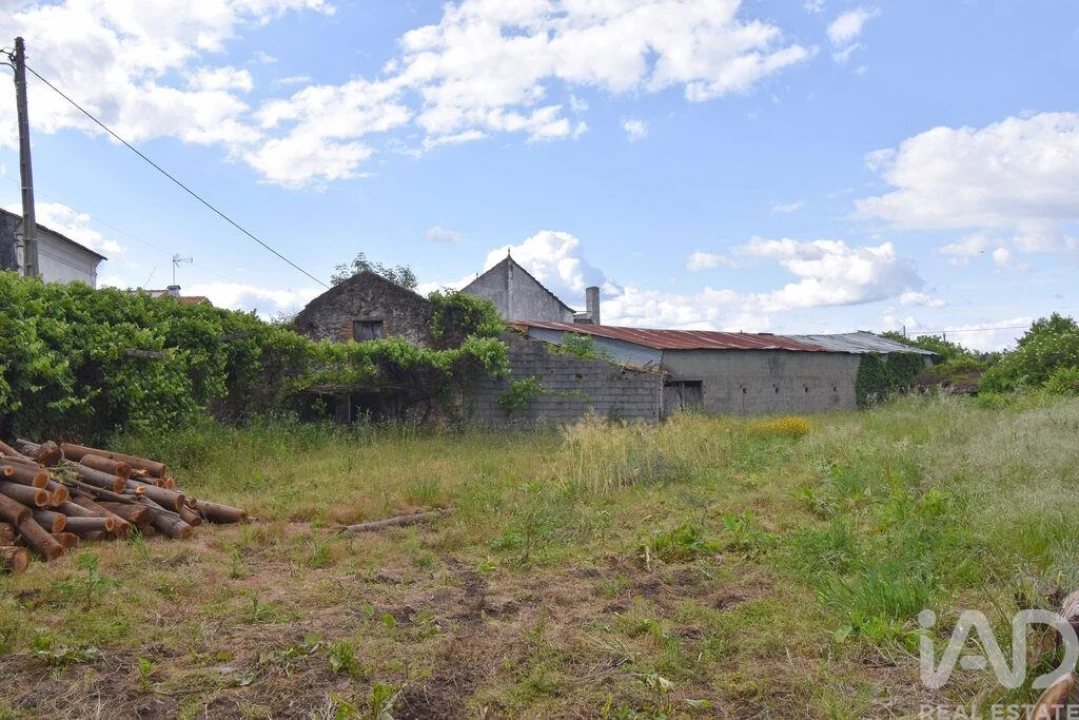 Armazém para Venda em Miranda do Corvo Foto 23