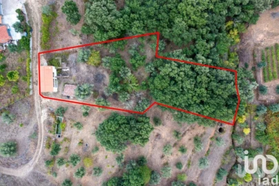 Moradia para Venda em São João Baptista e Santa Maria dos Olivais