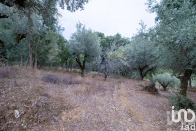 Moradia para Venda em São João Baptista e Santa Maria dos Olivais