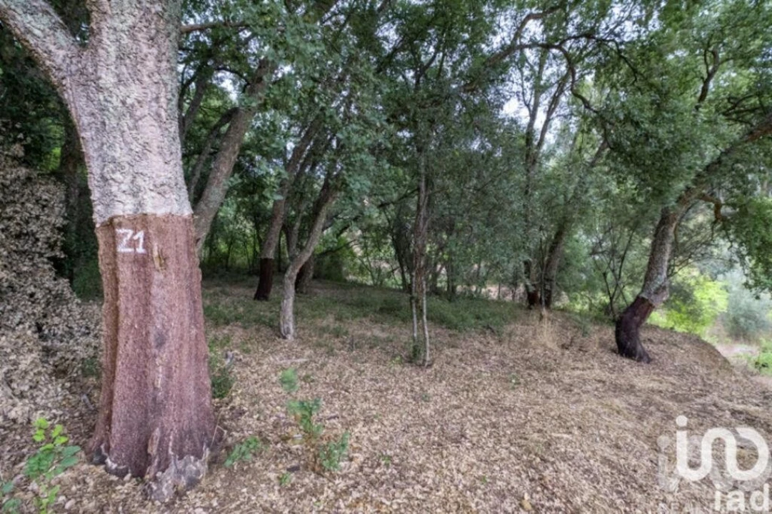 Moradia para Venda em São João Baptista e Santa Maria dos Olivais Foto 16