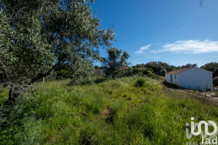 Moradia para Venda em São João Baptista e Santa Maria dos Olivais Foto 14