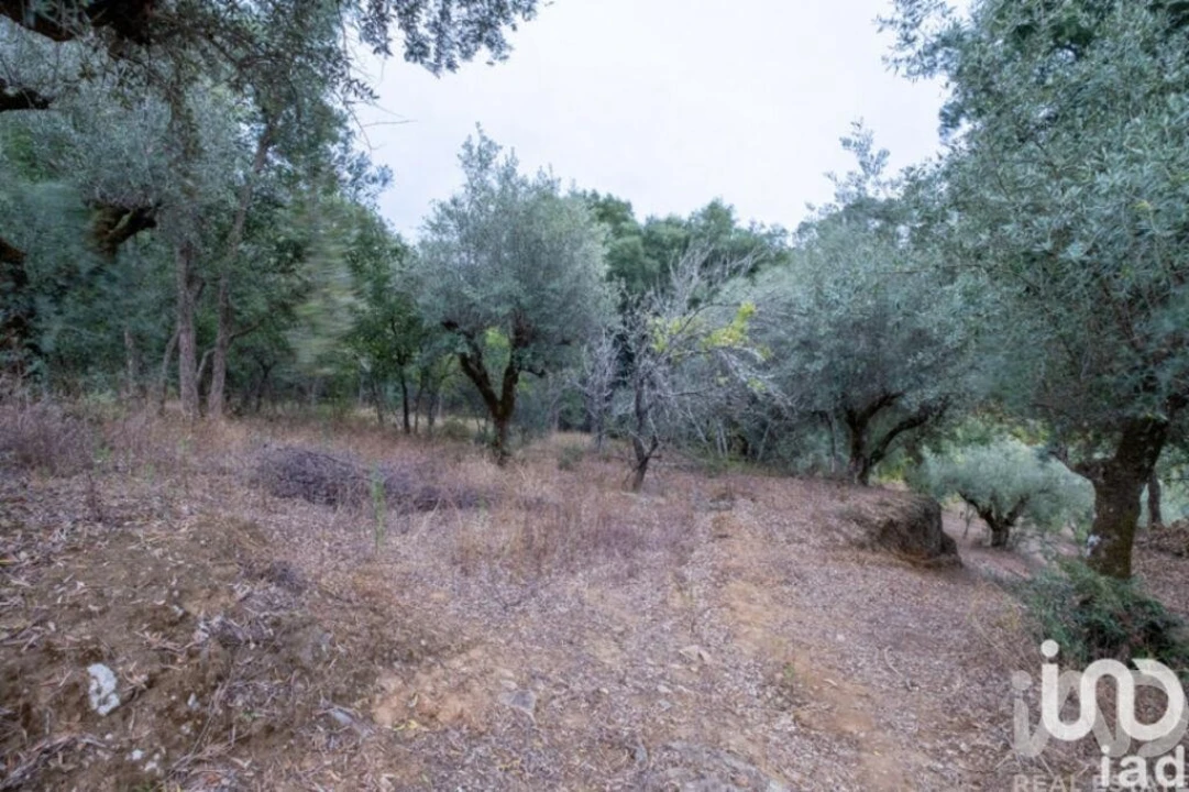 Moradia para Venda em São João Baptista e Santa Maria dos Olivais Foto 17