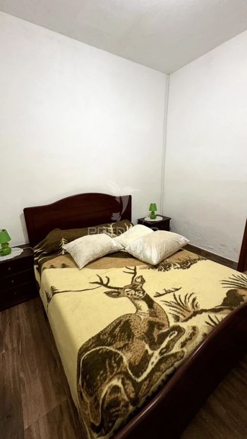 Moradia T2 para Venda em Santa Margarida da Coutada