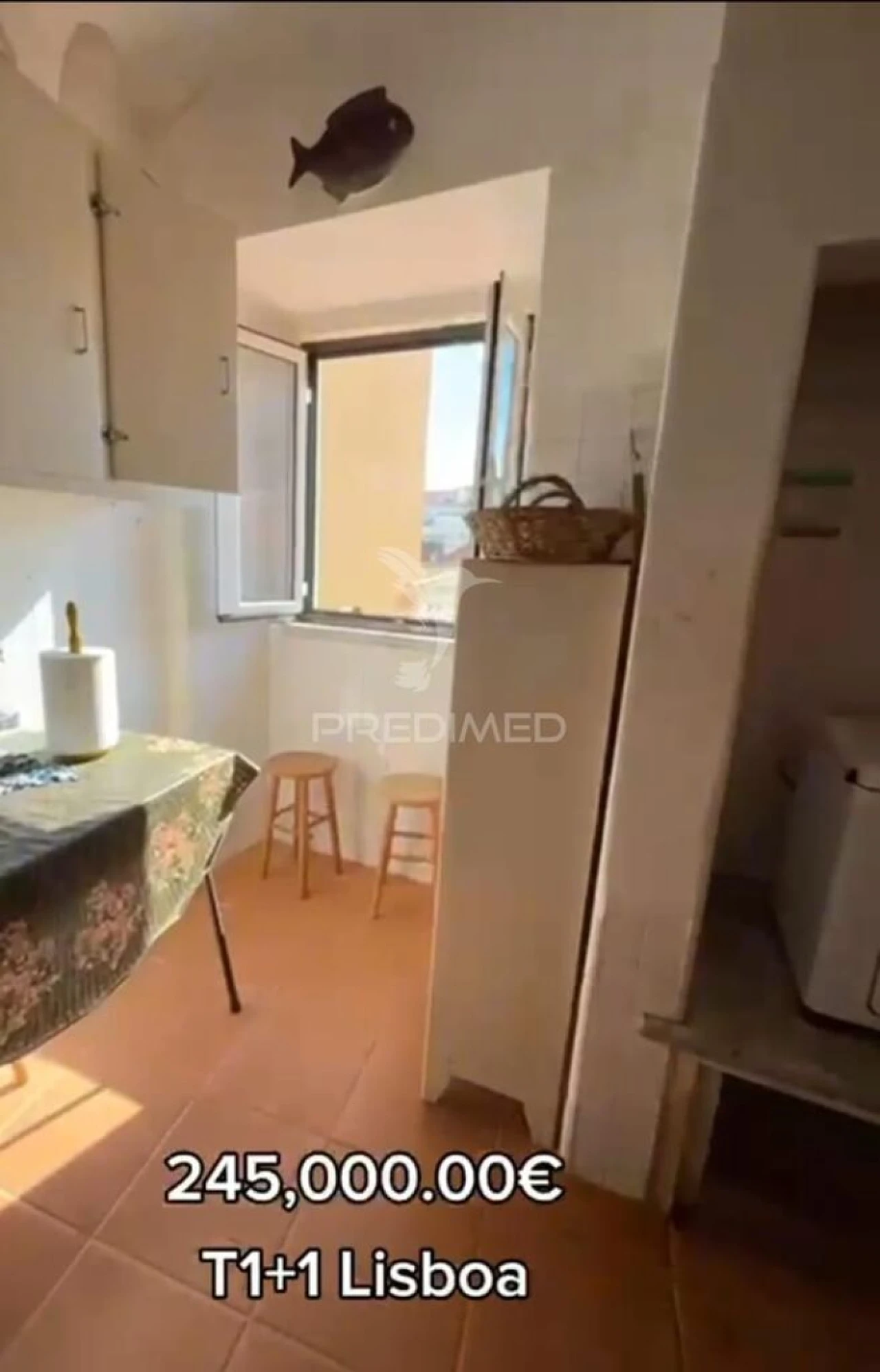 Apartamento T1 para Venda em Santo António Foto 3