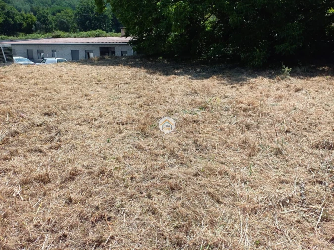Terreno para Venda em Lousã e Vilarinho Foto 3