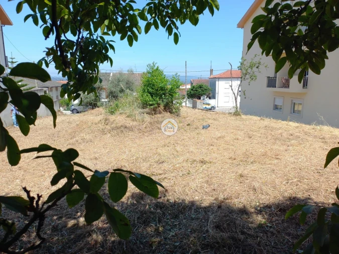 Terreno para Venda em Lousã e Vilarinho Foto 5