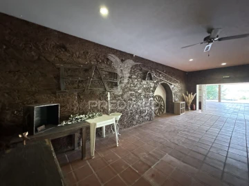 Quinta T4 para Venda em Alvega e Concavada