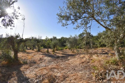 Moradia para Venda em Cumeeira