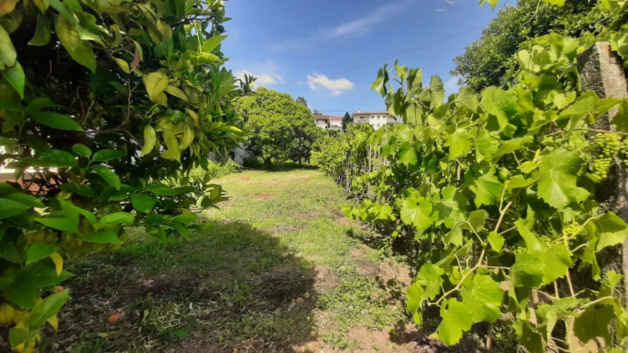 Terreno para Venda em Assafarge e Antanhol Foto 4