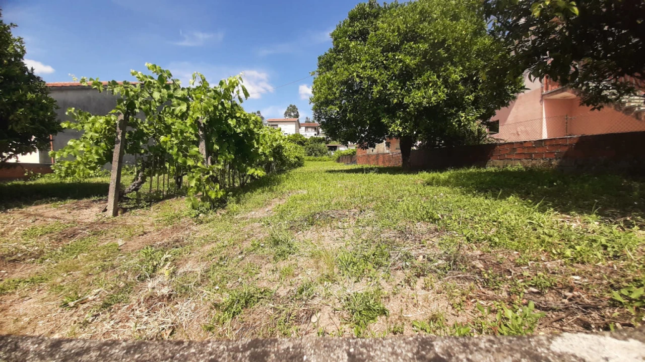 Terreno para Venda em Assafarge e Antanhol Foto 3