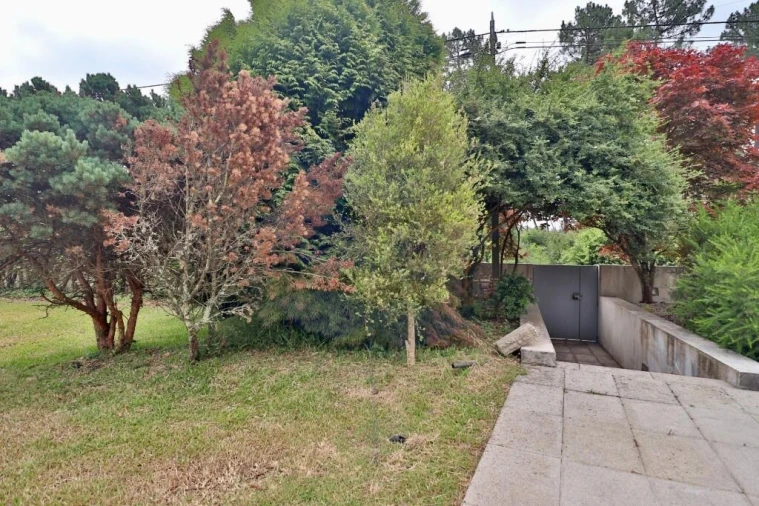 Moradia T4 para Venda em Alvarães Foto 21